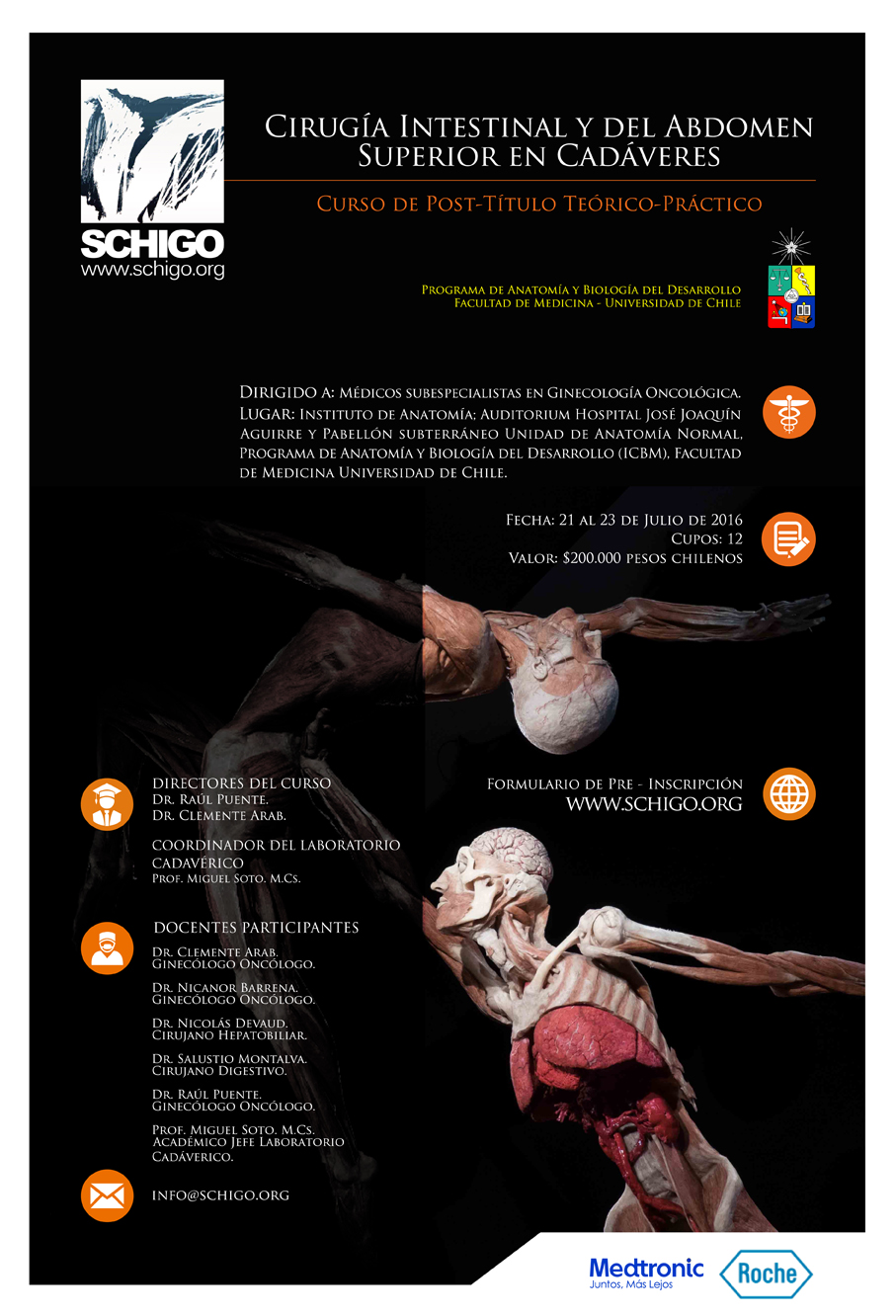 Afiche congreso SCHIGO